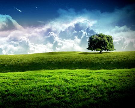 la nature